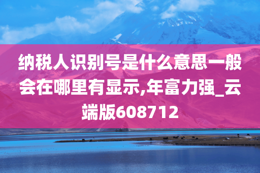 纳税人识别号是什么意思一般会在哪里有显示,年富力强_云端版608712