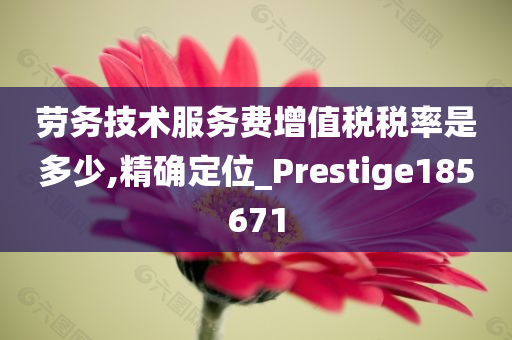 劳务技术服务费增值税税率是多少,精确定位_Prestige185671