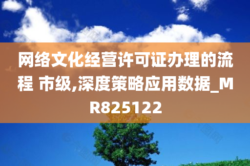 网络文化经营许可证办理的流程 市级,深度策略应用数据_MR825122