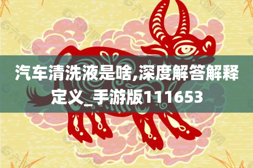 汽车清洗液是啥,深度解答解释定义_手游版111653