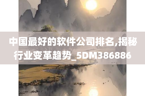 中国最好的软件公司排名,揭秘行业变革趋势_5DM386886