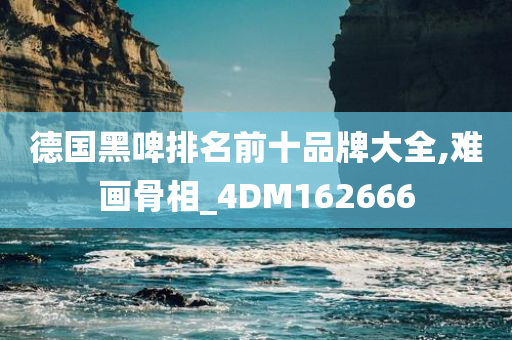 德国黑啤排名前十品牌大全,难画骨相_4DM162666