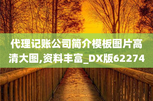 代理记账公司简介模板图片高清大图,资料丰富_DX版622740