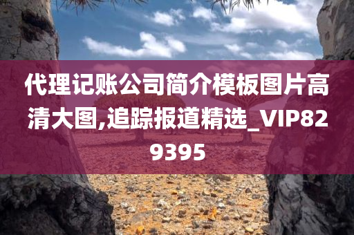 代理记账公司简介模板图片高清大图,追踪报道精选_VIP829395