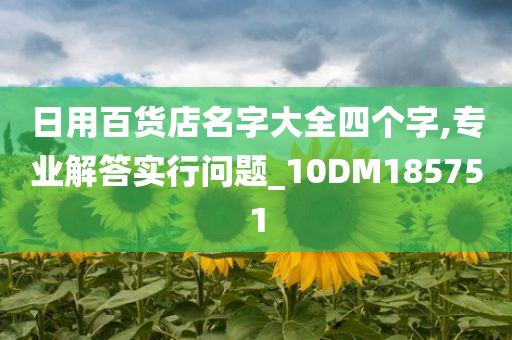 日用百货店名字大全四个字,专业解答实行问题_10DM185751