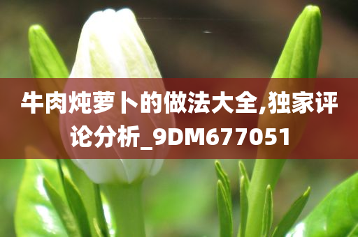 牛肉炖萝卜的做法大全,独家评论分析_9DM677051