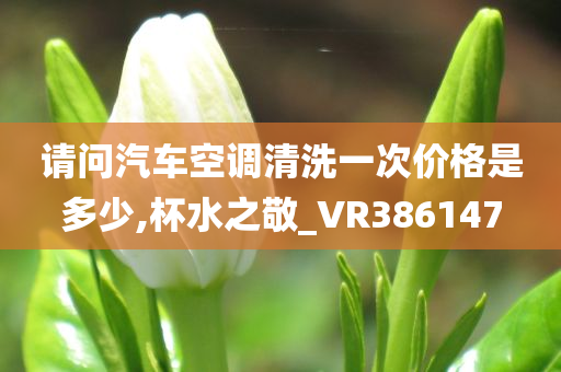 请问汽车空调清洗一次价格是多少,杯水之敬_VR386147