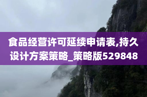 食品经营许可延续申请表,持久设计方案策略_策略版529848