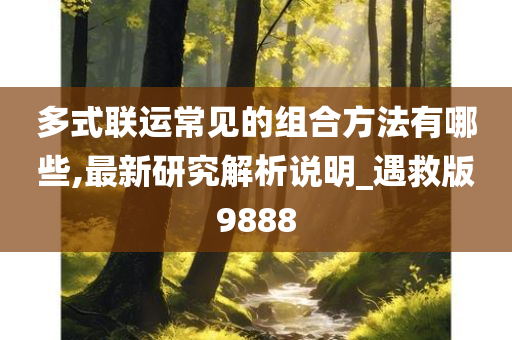 多式联运常见的组合方法有哪些,最新研究解析说明_遇救版9888