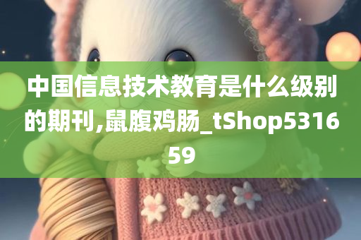 中国信息技术教育是什么级别的期刊,鼠腹鸡肠_tShop531659