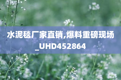 水泥毯厂家直销,爆料重磅现场_UHD452864