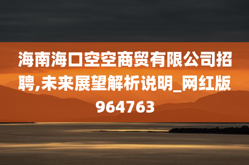 海南海口空空商贸有限公司招聘,未来展望解析说明_网红版964763