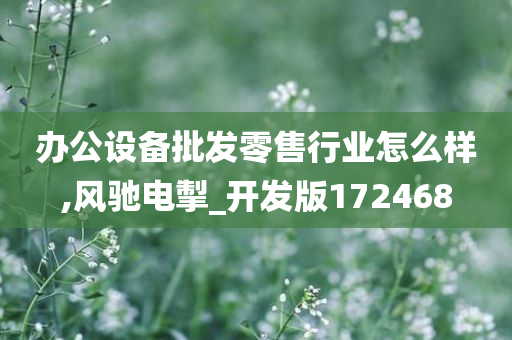 办公设备批发零售行业怎么样,风驰电掣_开发版172468