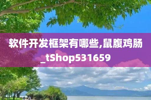 软件开发框架有哪些,鼠腹鸡肠_tShop531659