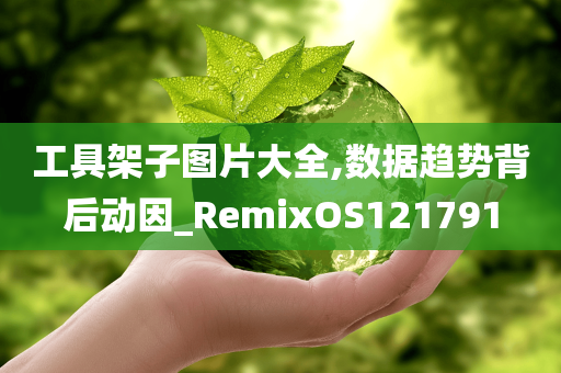 工具架子图片大全,数据趋势背后动因_RemixOS121791