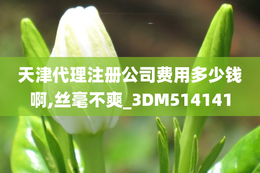 天津代理注册公司费用多少钱啊,丝毫不爽_3DM514141