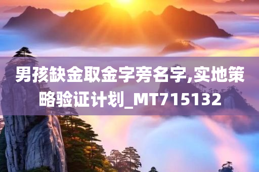 男孩缺金取金字旁名字,实地策略验证计划_MT715132