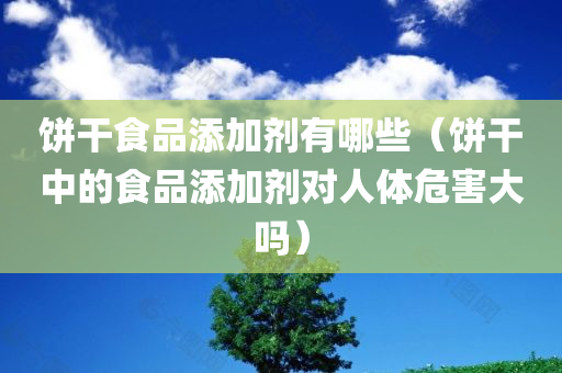 饼干食品添加剂有哪些（饼干中的食品添加剂对人体危害大吗）