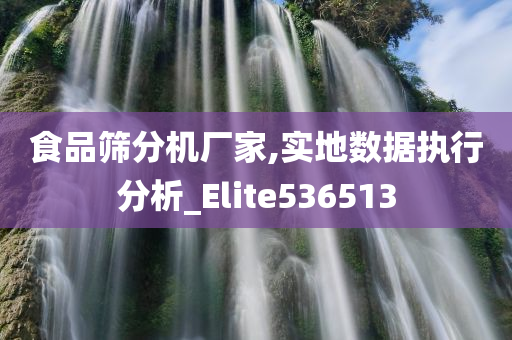 食品筛分机厂家,实地数据执行分析_Elite536513