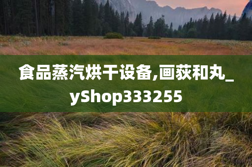 食品蒸汽烘干设备,画荻和丸_yShop333255