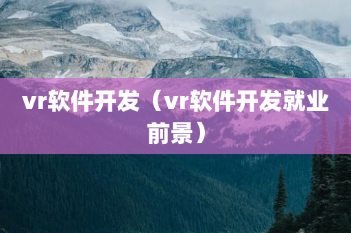 vr软件开发（vr软件开发就业前景）