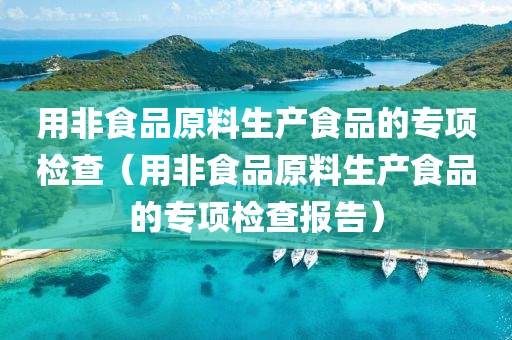 用非食品原料生产食品的专项检查（用非食品原料生产食品的专项检查报告）