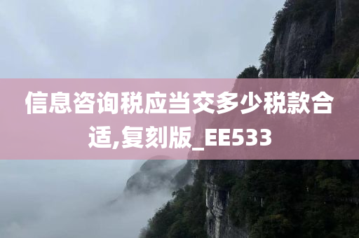 信息咨询税应当交多少税款合适,复刻版_EE533