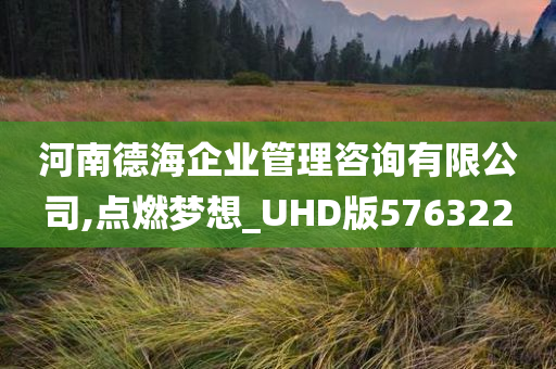 河南德海企业管理咨询有限公司,点燃梦想_UHD版576322