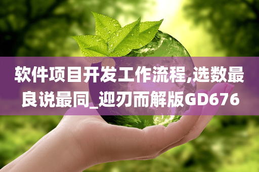 软件项目开发工作流程,选数最良说最同_迎刃而解版GD676