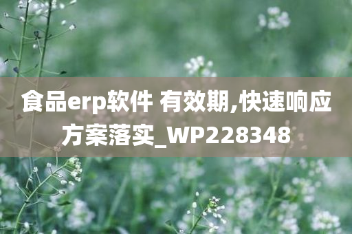 食品erp软件 有效期,快速响应方案落实_WP228348