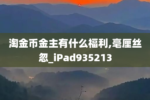 淘金币金主有什么福利,毫厘丝忽_iPad935213