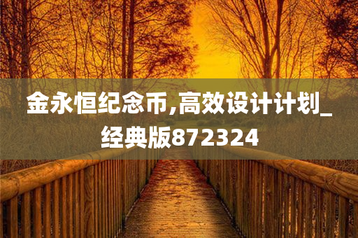 金永恒纪念币,高效设计计划_经典版872324