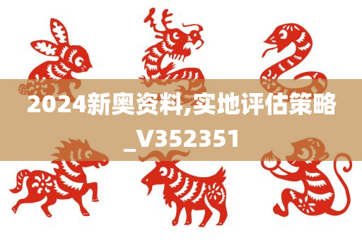 2024新奥资料,实地评估策略_V352351