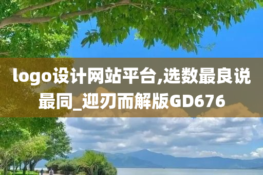 logo设计网站平台,选数最良说最同_迎刃而解版GD676