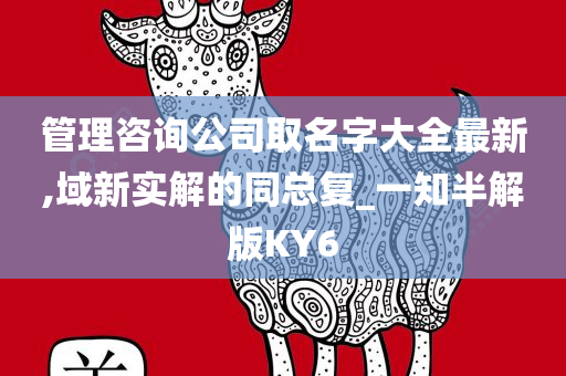 管理咨询公司取名字大全最新,域新实解的同总复_一知半解版KY6