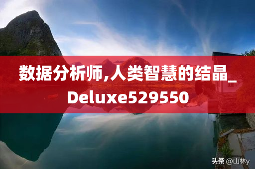 数据分析师,人类智慧的结晶_Deluxe529550