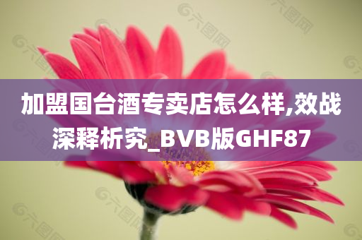 加盟国台酒专卖店怎么样,效战深释析究_BVB版GHF87