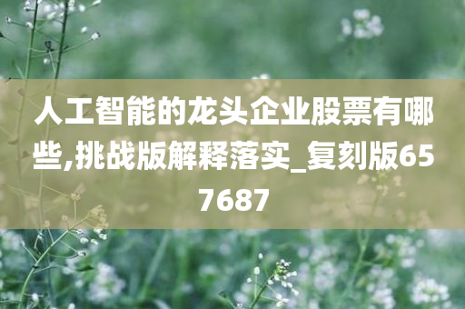 人工智能的龙头企业股票有哪些,挑战版解释落实_复刻版657687