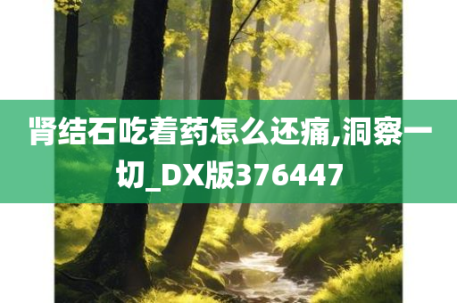 肾结石吃着药怎么还痛,洞察一切_DX版376447