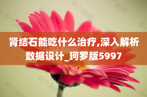 肾结石能吃什么治疗,深入解析数据设计_珂罗版5997