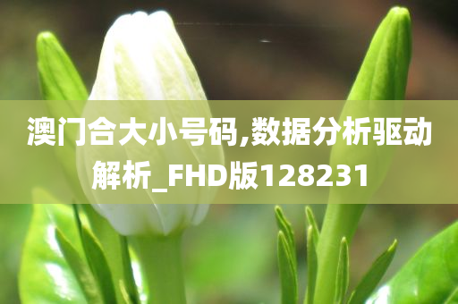 澳门合大小号码,数据分析驱动解析_FHD版128231