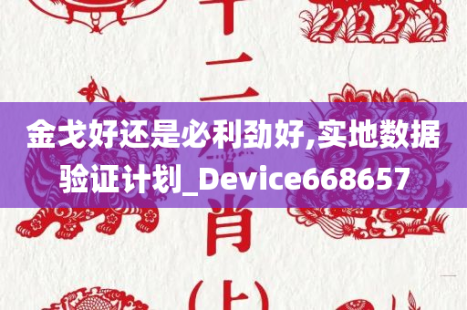 金戈好还是必利劲好,实地数据验证计划_Device668657