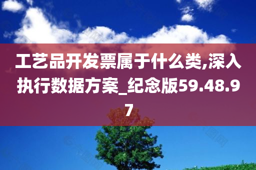 工艺品开发票属于什么类,深入执行数据方案_纪念版59.48.97