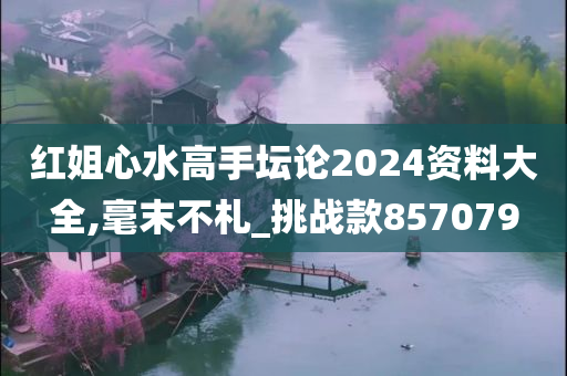 红姐心水高手坛论2024资料大全,毫末不札_挑战款857079