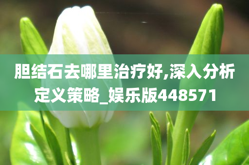 胆结石去哪里治疗好,深入分析定义策略_娱乐版448571