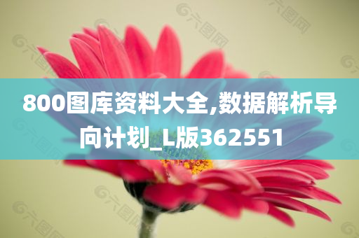 800图库资料大全,数据解析导向计划_L版362551