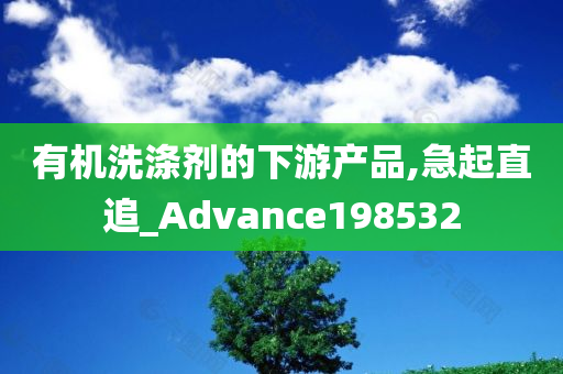 有机洗涤剂的下游产品,急起直追_Advance198532