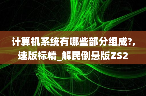 计算机系统有哪些部分组成?,速版标精_解民倒悬版ZS2