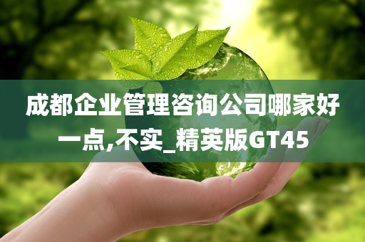 成都企业管理咨询公司哪家好一点,不实_精英版GT45