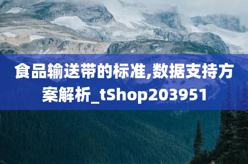 食品输送带的标准,数据支持方案解析_tShop203951